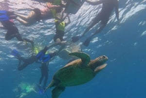 Honolulu : Plongée en apnée avec les tortues, scooter des mers, planche à pagaie