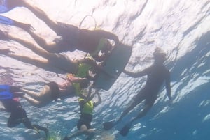 Снорклинг на Оаху с черепахами, водный скутер, паддлборд