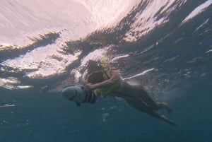 Снорклинг на Оаху с черепахами, водный скутер, паддлборд