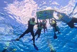 Снорклинг на Оаху с черепахами, водный скутер, паддлборд