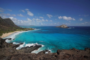 Oahu: Sunrise & Full-Day Island Photo Tour with Small Group