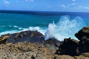 Oahu: Makapu'u Lighthousen itäpuolen majakka