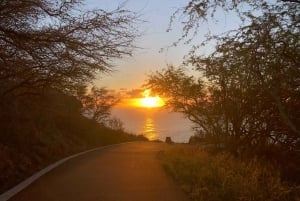 Oahu: East Side Makapu'u Lighththouse: Vandring ved solopgang