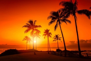 Oahu : Croisière au coucher du soleil dans l'ouest d'Oahu avec boissons et amuse-gueules