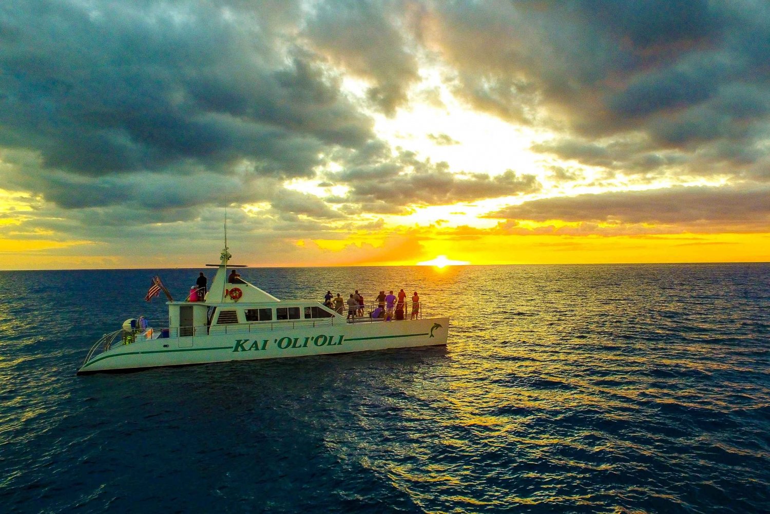 Oahu: Delfinbeobachtung bei Sonnenuntergang & Schnorchelausflug Abendessen & Drinks