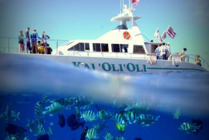 Oahu: Crociera con osservazione dei delfini e snorkeling al tramonto Cena e bevande