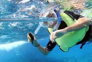 Oahu: Crociera con osservazione dei delfini e snorkeling al tramonto Cena e bevande