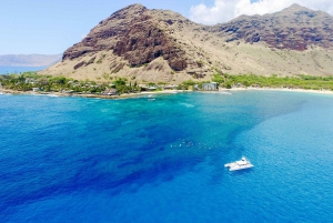 Oahu: Crociera con osservazione dei delfini e snorkeling al tramonto Cena e bevande