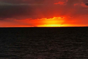 Oahu: Solnedgangssejlads i små intime grupper