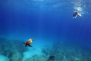 Oahu: Sunset Snorkeling and Hawaiian Buffet From Ko Olina