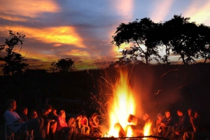 Oahu: Sunset Zipline, S'mores, & Freefall Adventure
