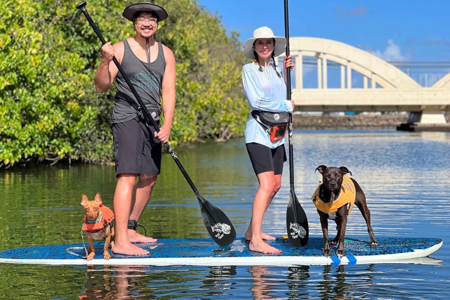 Оаху: SUPDog Experience — гребля на доске с веслом с собаками-спасателями