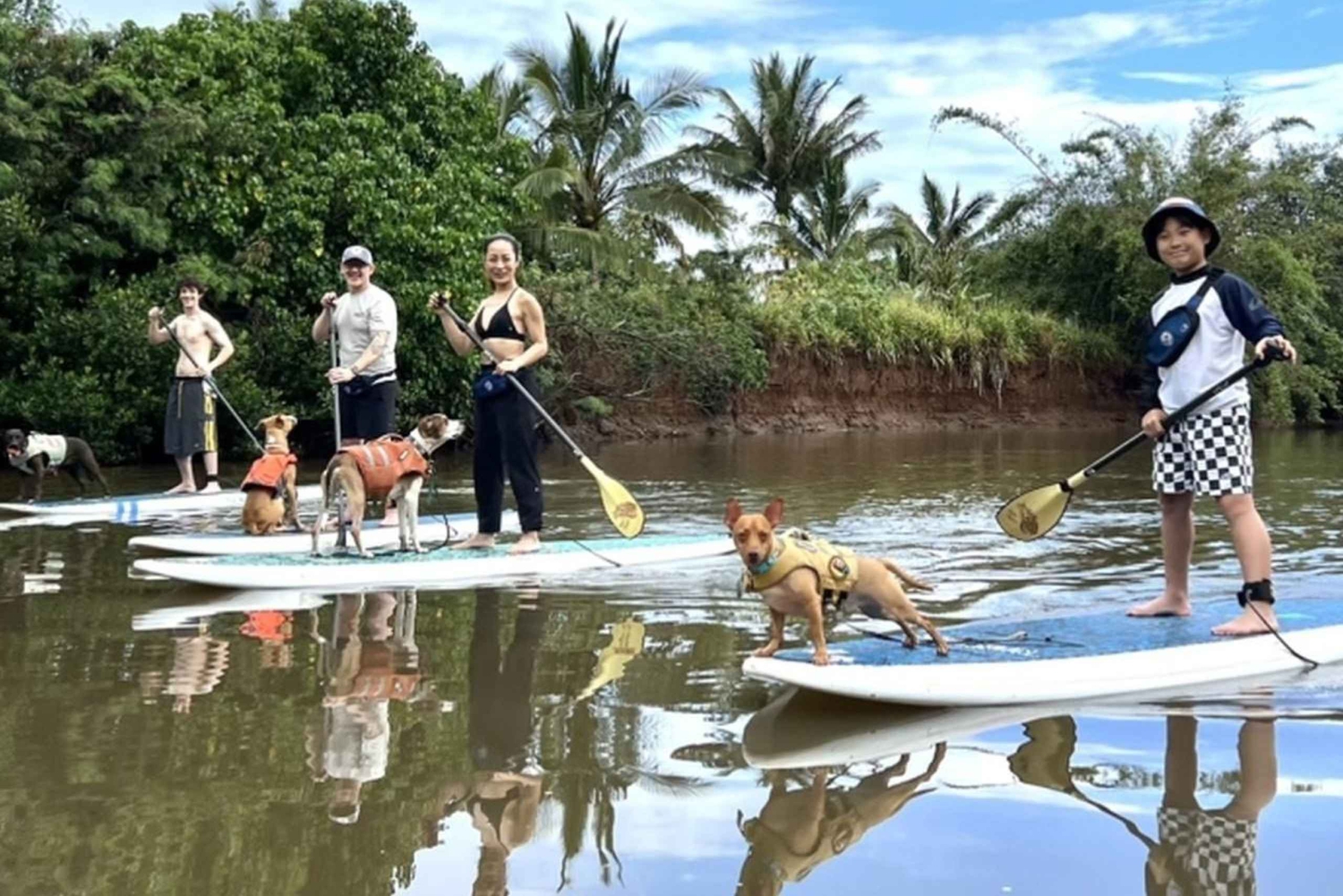 Оаху: SUPDog Experience — гребля на доске с веслом с собаками-спасателями