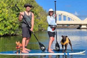 Oahu: SUPDog Experience - Paddle Board met Reddingshonden