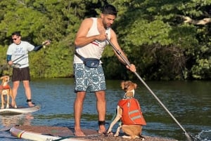 Oahu: SUPDog Experience - Paddle Board met Reddingshonden
