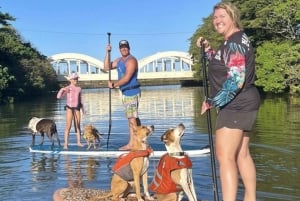 Oahu: SUPDog Experience - Paddle Board met Reddingshonden