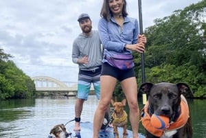 Oahu: SUPDog Experience - Paddle Board met Reddingshonden