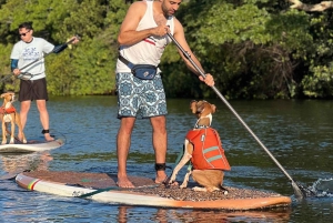 Оаху: SUPDog Experience — гребля на доске с веслом с собаками-спасателями