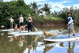 Оаху: SUPDog Experience — гребля на доске с веслом с собаками-спасателями