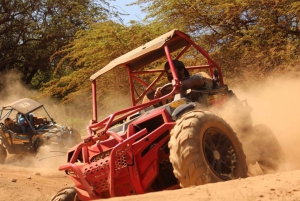 Oahu: Surf and Turf ATV and Flowrider