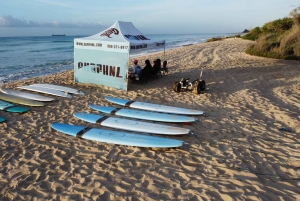 Oahu: Surfing-lektioner for alle niveauer