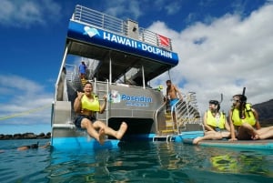 Oahu: Kilpikonnien snorklauskierros ja vesiliukumäki.