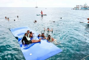 Oahu : Nagez avec les dauphins, tour de plongée avec masque et tuba pour les tortues et toboggan aquatique