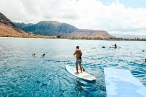 Oahu : Nagez avec les dauphins, tour de plongée avec masque et tuba pour les tortues et toboggan aquatique