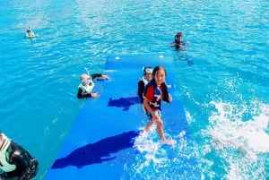 Oahu: Nuota con i delfini, tour di snorkeling con le tartarughe e acquascivolo
