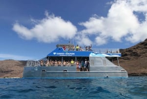 Oahu: Swim with Dolphins, Turtle Snorkel Tour and Waterslide