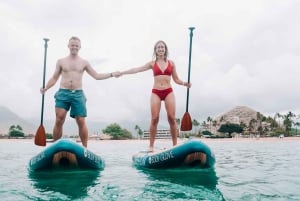 Oahu : Nagez avec les dauphins, tour de plongée avec masque et tuba pour les tortues et toboggan aquatique