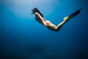 Oahu : Nagez avec les dauphins, tour de plongée avec masque et tuba pour les tortues et toboggan aquatique