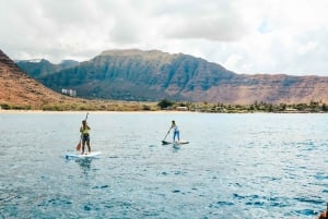 Oahu : Nagez avec les dauphins, tour de plongée avec masque et tuba pour les tortues et toboggan aquatique