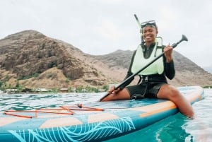 Oahu : Nagez avec les dauphins, tour de plongée avec masque et tuba pour les tortues et toboggan aquatique