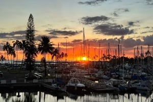 Oahu : The Magical Mystery Show ! au Hilton Waikiki Beach