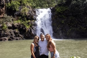 Oahu: The Ultimate Private Circle Island Tour 1-4 Guests