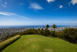 Oahu: Den ultimative private ø-tur med 5-7 gæster