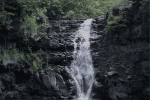 Oahu: Den ultimative private ø-tur med 5-7 gæster