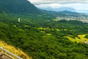 Oahu: Den ultimative private ø-tur med 5-7 gæster