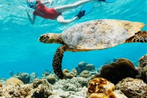Oahu: Den ultimative private ø-tur med 5-7 gæster