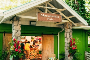 Oahu : L'ultime visite privée de l'île 5-7 invités