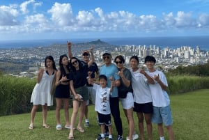 Oahu: The Ultimate Private Circle Island Tour 1-4 Guests