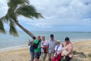 Oahu: The Ultimate Private Circle Island Tour 1-4 Guests
