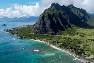 Oahu: The Ultimate Private Circle Island Tour 1-4 Guests