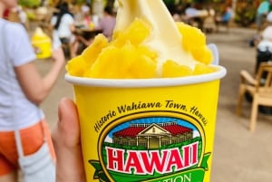 Oahu: The Ultimate Private Circle Island Tour 1-4 Guests