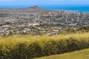 Oahu: The Ultimate Private Circle Island Tour 1-4 Guests