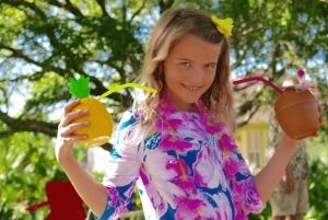 Oahu Toa Luau Transport