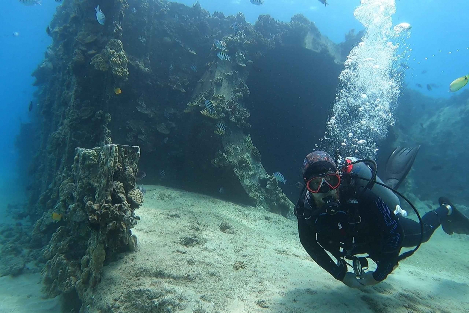 Oahu: Prova på dykning från land