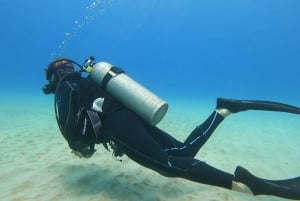 Oahu: Prøv dykking fra land