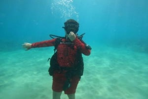 Oahu: Try Scuba Diving from Shore